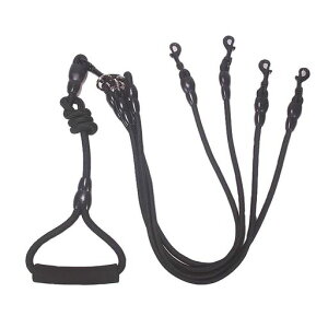 TARATIp[h4[vybgp[hoUp܂ȂvP[hO[h^Ή(ubN)