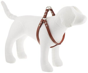 ONS�h�C�c��(�Ȃ߂�)�y�֓���#55��(���^��)[�n�[�l�X]