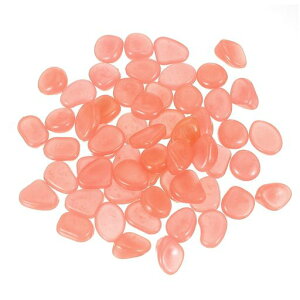 PATIKILΎO^Np100Β냄[hhXP[sO蕨IWbh