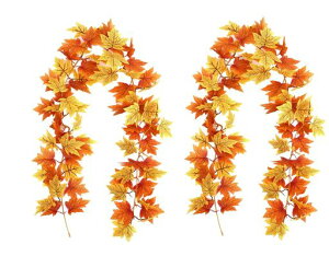 SKTMHgt2pbNlHϗtAH̃JGf̃K[h{Ǌ|JGf̗tCeAH̑fR[VӍՃnEBNX}X茺֓XܑBec