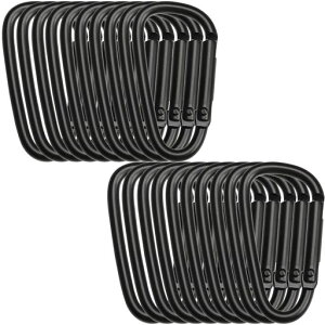 REIYAIBAカラビナアルミ合金20個多機能超軽量小型Dリングスリング錆びないキャンプハイキングトレッキングフック脱落防止お釣りアウトドア(L)