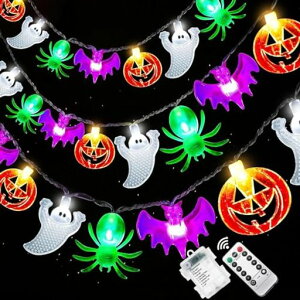 �n���E�B������J�{�`�����C�g�y30���S��5M�d�r���_���p�^�[��8��ށz�n���E�B���h��LED���ڂ���C���~�l�[�V��������Halloween����t���p���v�L���������R�E�����݂艺���X�g�����O���C�c