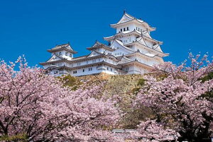 やのまん(Yanoman)【日本製】1000ピースジグソーパズル日本の風景千の桜と姫路城(兵庫)(50x75cm)10-1411ピース請求ハガキのり付きへら付きサービスカード付ジグソーパズルのトリセツ付