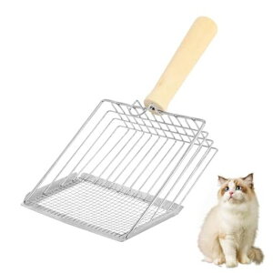 latikalyLXRbvVxXeX|傫LXRbv|VxLpXRbv2TCYԖڏvyƂ̌yLVxlRgCpXRbvF