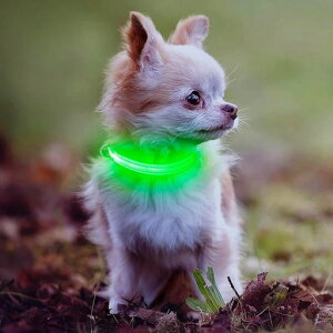 Weesiber֏^-USB[dLED֎qLɓK߉\ȒyʌUCgF500mŖԂS(O[8.5-11.8inch)