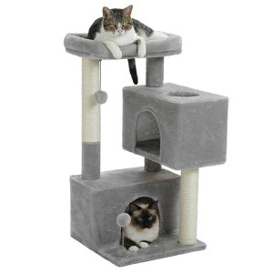 PAWZRoadLbg^[Ⴂ߃~jX^LpL^[܌RpNg܂Ƃ|[LnEX2uVjALVLqLo₷VRTCUtLxbhc