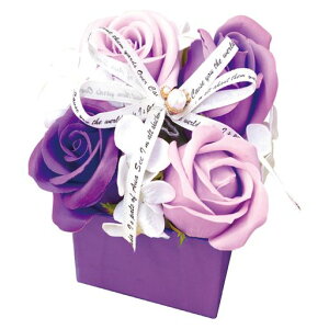 |s[É\[vt[V{t[ԃMtgv[gt[{bNX4փo{bNX12cmS-110p[v