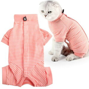 DOTONERLjpLp㕞Lpybgp㕞یrߖh~DGUxXJ[̑