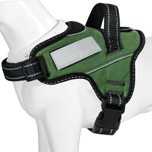 y{挢n[lXzBaoChengp֏^/^/^n[lX΍AɗDȐFʋCSȂl[v[g7FI(A[~[O[AS)