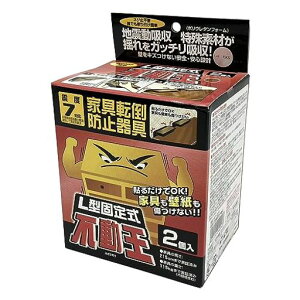 s񃉃ebNXƋ]|h~pisL^Œ莮FFT-001