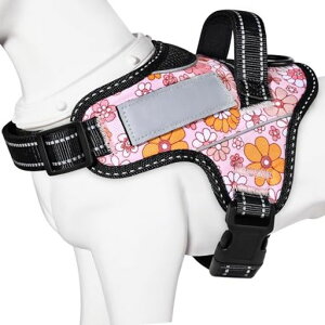 �y���{��挢�n�[�l�X�zBaoCheng���p���֏��^��/���^��/��^���n�[�l�X�����΍�A�ɗD�����������ȐF�ʋC�����S���Ȃ��l�[���v���[�g7�F�I��(�s���N�t�����[�AXL)