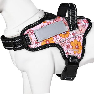 y{挢n[lXzBaoChengp֏^/^/^n[lX΍AɗDȐFʋCSȂl[v[g7FI(sNt[AXL)