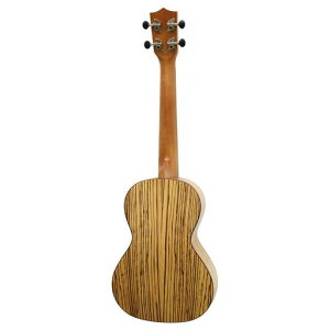 S.YairiCENei[TCY[uEbhރMAyOdlYU-T-03ZW(MOobOt)