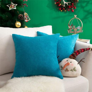 Topfinel�N�b�V�����J�o�[���l�����ۂ�45x45cm�k���������Ȗ����n�\�t�@�w���đ������J�o�[���z�c�J�o�[�u���[2���Z�b�g(�S10�F)