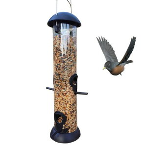 Emoio[htB[_[݂艺쒹vX`bN̉aObh`[utaX^ha꒹piaaybgpia4̋a|[g뉀̑birdfeeder