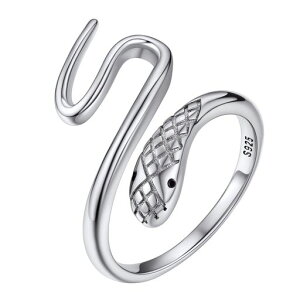 [Silvora]ւюwփfB[XlC킢Vo[925Ot[TCYփwrANZT[