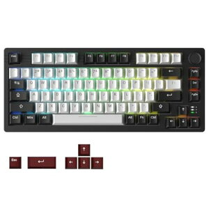 DAREUEK75PRO�Q�[�~���O�L�[�{�[�h�����e���L�[���X75%���J�j�J���L�[�{�[�h2.4G���C�����X/Bluetooth/�L��USB�ڑ��\�K�X�P�b�g�}�E���g81�L�[�p��z��RGB�z�b�g�X���b�v�Ή����ʒ��߃m�u�t��