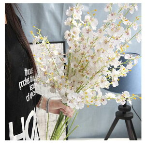 siawadekyԗx闖8IVW[A[gt[ԑԕȓԃtFCNt[ԐlHϗtAu[P͂ȂԂbsvʐ^BejJXjaӁc