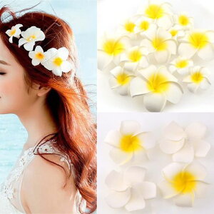 YesallwasvA9cm50ZbgԂ̂ݔX|WnhChDIYƌp[eB[ptʐ^Be