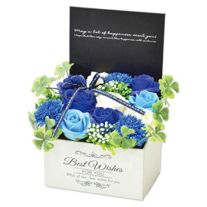 |s[É\[vt[V{t[ԃMtgv[g12փu[Po{bNX16cmMK-009u[