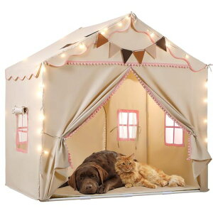 LbYegEagleStone̎q܂肽ݒj̎qqVуeg閧n_uhALEDCgtgݗĊȒPɗDfލLԎegav[gMtc