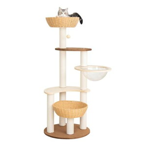 LULUCATLbg^[u^Lꍂ133cmؐ{[hɃxxbg҂݃JSVjAL܂Ƃ|[CeAȃXy[XXē~ptLc