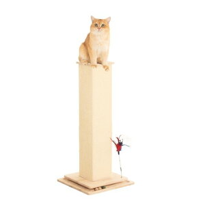 PETTIFULɑLbg^[ؐu܂Ƃ|[XNb`VR؂ȃXy[X83cmlCVvLpƋǍۂ҂ؖڔL^[17cm^LVjA₷c