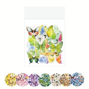 BLOOPICV[40ZbgX傤莆AoAfRV[XPW[J_[蒠fRǎV[pm[gfޓLpiF