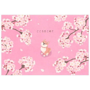 TIbZ[WJ[hwƍƎČO[eBOJ[hCOAJSG17-3SANRIO869236