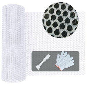 QUEENBABI]h~lbgLx_Eh~vX`bNlbgh~lbgKilbgQb悯lbgth~lbg|tFXK[hؑprیlbg(0.8cm40cmx4c