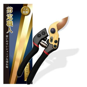 yvďCzoT~ys؂ꖡzKтɂ؂ꖡ̍dNHRpNgK[fjOElAtravessar(F)