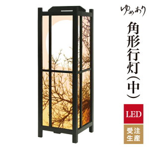 a s tACg  Ɩ LED ԐڏƖ [Cg ǂ u Q  ze v[g p^ p` p`s ̓ IW ^