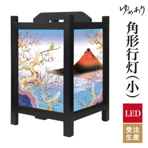 a s tACg  Ɩ LED ԐڏƖ [Cg ǂ u Q  ze v[g p^ p` p`s ԕxm ^ TCY