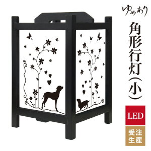 a s tACg  Ɩ LED ԐڏƖ [Cg ǂ u Q  ze v[g p^ p` p`s  ^ TCY