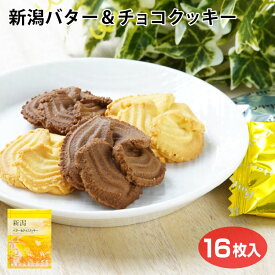 新潟　新潟県　お土産　お徳用　安価　洋菓子　クッキー　焼き菓子　新潟バター＆チョコクッキー16枚