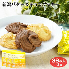 新潟　新潟県　お土産　お徳用　安価　洋菓子　クッキー　焼き菓子　新潟バター＆チョコクッキー36枚