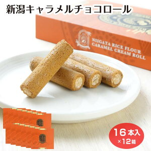 V yY VL`RN[[ 16  L ĕ VYĕ َq XC[c ݂₰ ܂Ƃߔ 