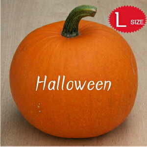 ynEBzڂ LTCY J{` { _Y nEB[ nEBڂ nEBJ{`  nEB[