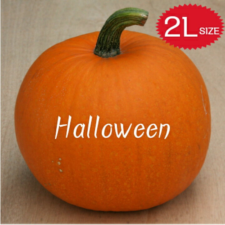 楽天市場 ハロウィン 生かぼちゃ 2lサイズ カボチャ 本物 自農場産 ハロウィーン種 夢ハーベスト農場ネットショップ