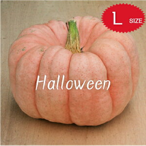 ynEBzڂ LTCY J{` { _Y |[Zh[ t