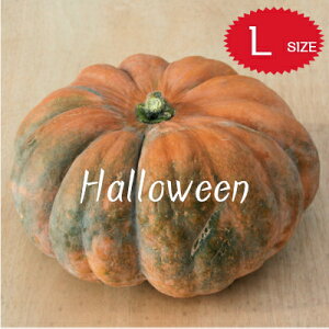 ynEBzڂ LTCY J{` { _Y ~XPEhEvFX