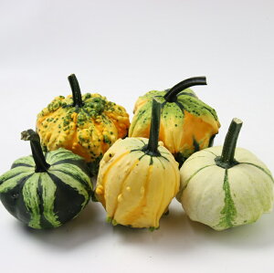 ynEBzڂ5Zbg ~jJ{` { _Y X^[~bNX