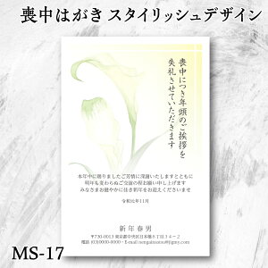 X^CbV r͂  yMS-17zȑr͂TĂI_łȃfUC