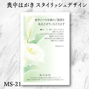 X^CbV r͂  yMS-21zȑr͂TĂI_łȃfUC