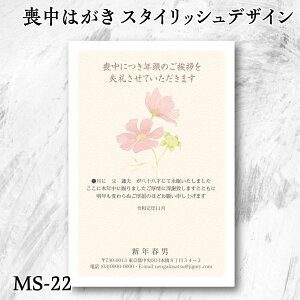 X^CbV r͂  yMS-22zȑr͂TĂI_łȃfUC