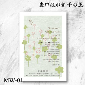 r͂ ̕fUCyMW-01zVo r͂[ZxłOK 3܂t