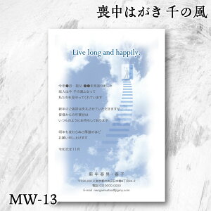 r͂ ̕fUCyMW-13zVo r͂[ZxłOK 3܂t