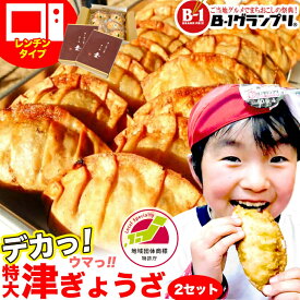 【レンチン津ぎょうざ×2セット】　餃子 お取り寄せグルメ ジャンボ餃子B級グルメ B-1グランプリ 送料無料【麦一等兵】原材料 オール 国産 ご当地グルメ 三重県津市の学校給食メニュー 揚げ餃子90g×6ケ×2セット　楽天ランキング1位