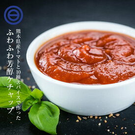 無添加 トマトケチャップ パウチ 減塩 保存料不使用 熊本県産 国産 九州産 甘味 スパイス トマト パスタ ナポリタン ピザソース トマトソース ハンバーグ ウインナー 卵料理 自然食品 家庭用 送料無料