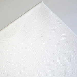 ݒLoX F8 ȉ@a ʁEANp 455×380×15mm
